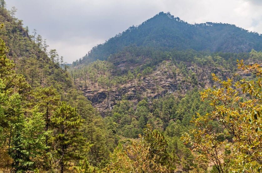 Celaque National Park, Near Gracias, Lempira, Honduras